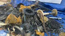 Fondali puliti, i sub recuperano dal lago di Garda due quintali di rifiuti
