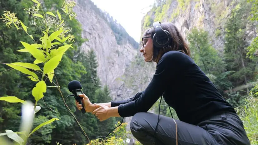 Artisti e performer che parteciperanno a InSPIRA