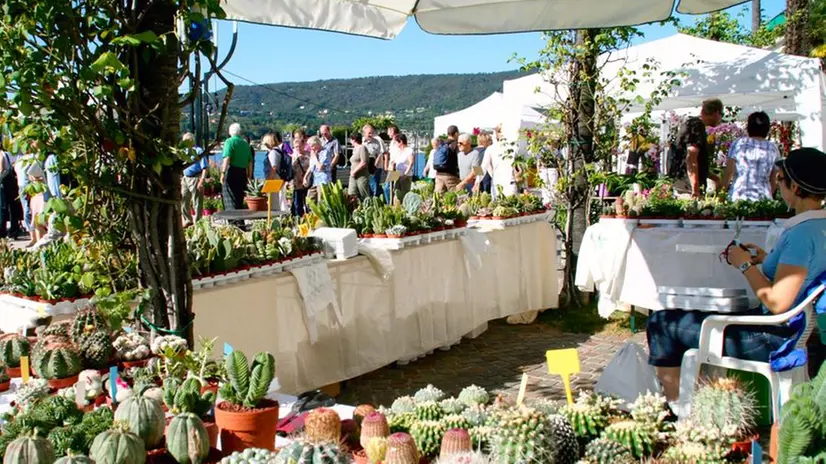 Sul lungolago di Salò l'esposizione di piante e fiori - © www.giornaledibrescia.it