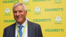 Gianfranco Comincioli