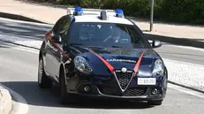 Carabinieri (simbolica) - © www.giornaledibrescia.it