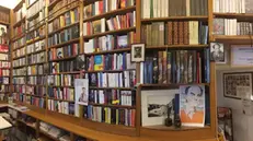 Gli scaffali della libreria Tarantola (foto d'archivio) - Foto © www.giornaledibrescia.it