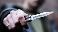 Un coltello - © www.giornaledibrescia.it