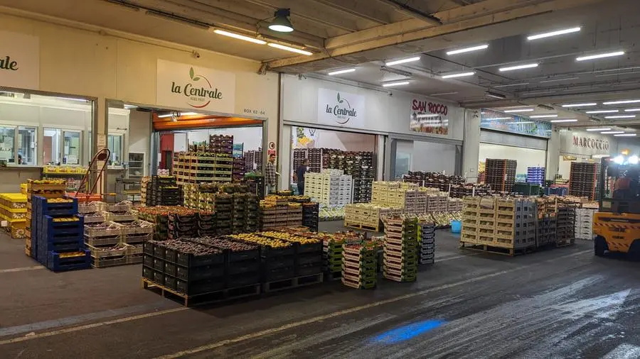 Una notte al mercato ortofrutticolo di Brescia