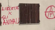 Capriolo, il quagliodromo vandalizzato da una sigla animalista
