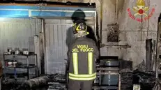 L'intervento dei Vigili del Fuoco in azienda a Calcinato