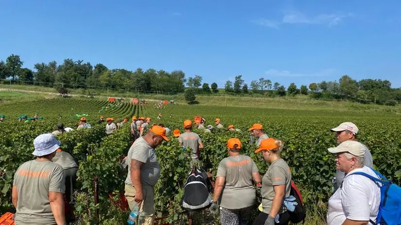 Una delegazione della Flai Cgil in Franciacorta