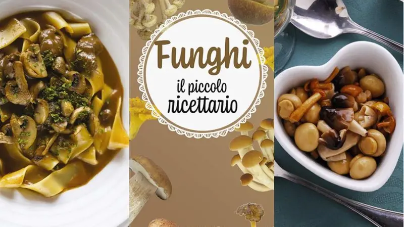 «Funghi - Il piccolo ricettario» - © www.giornaledibrescia.it