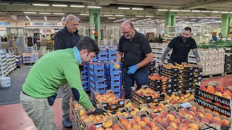 Domanda e offerta, ma anche clima e meteo, influiscono sui prezzi © www.giornaledibrescia.it