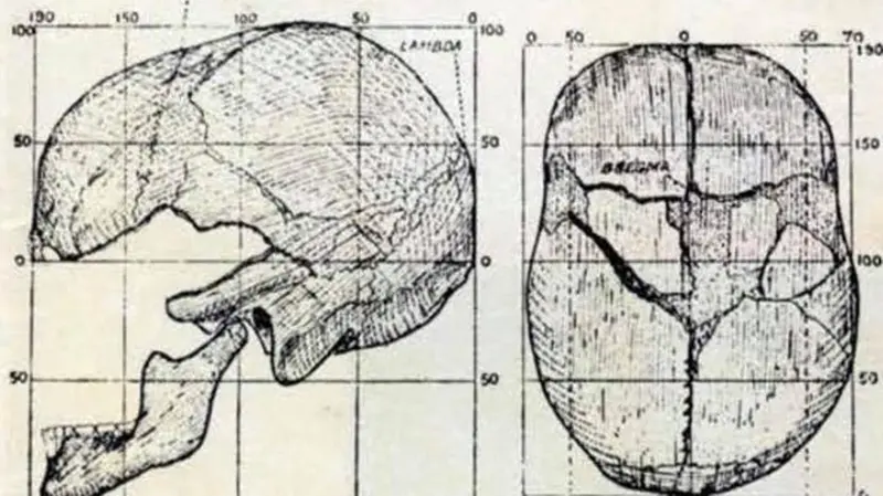 Un disegno del cranio «Castenedolo skull» - Foto tratta dalla pagina Facebook di Origins Magazine