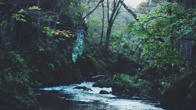 Un torrente (foto simbolica) - Foto Unsplash