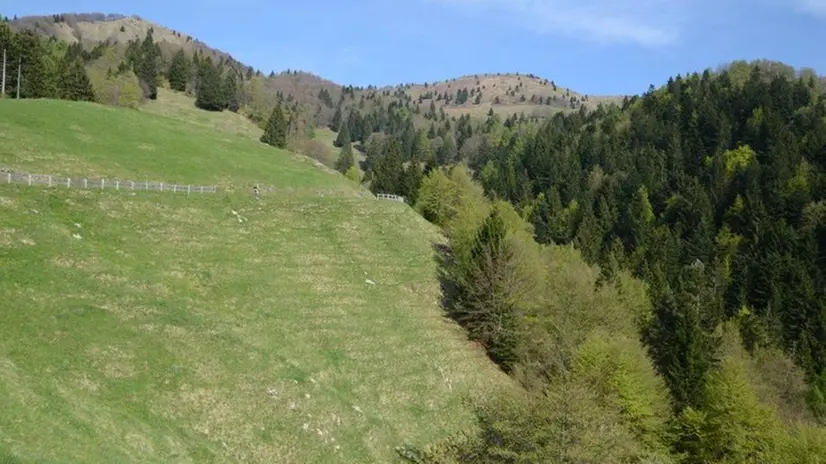 Verso le guglie della Mazza di Pichea - Foto @bontempiruggero.jpg