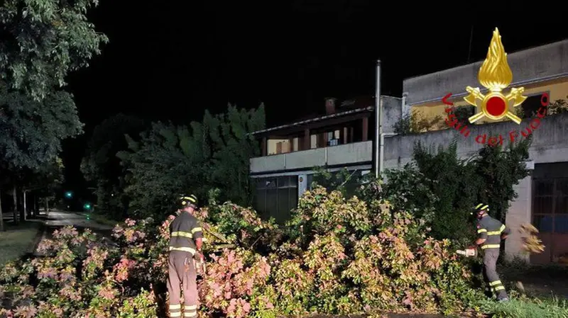 Un albero caduto in mezzo alla strada sul Garda