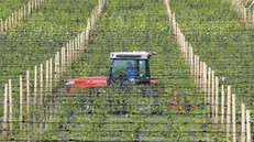 Un trattore in un campo - © www.giornaledibrescia.it