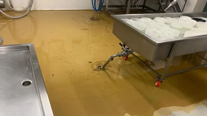 Pezzaze, allagato il caseificio Richiedei