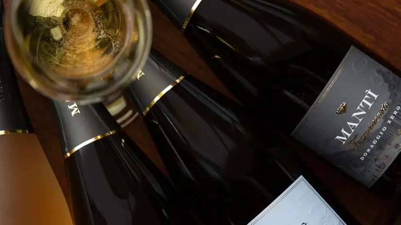 I vini della Capitale della Cultura