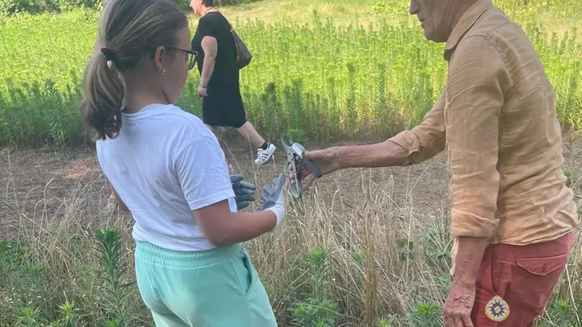 I bimbi di San Paolo impegnati nella raccolta del farro