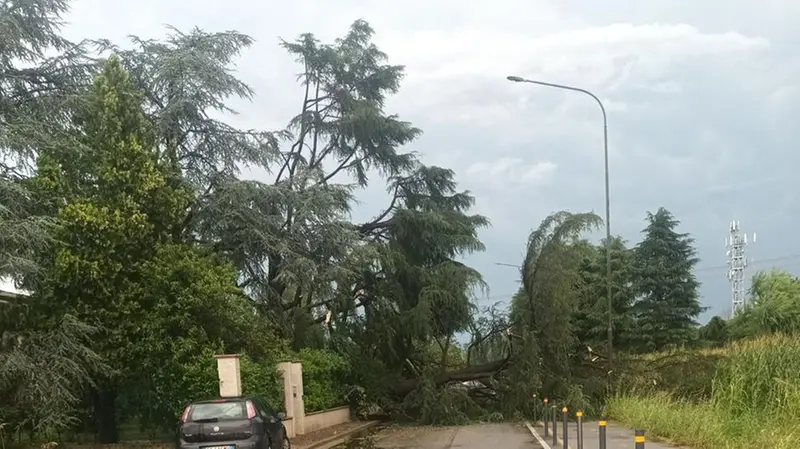 Nuvolera isolata a causa degli alberi caduti