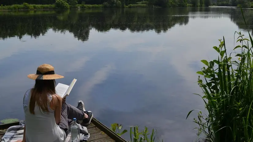 Una ragazza legge in riva al lago