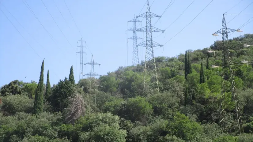 L'albero si è appoggiato ai cavi dell'alta tensione