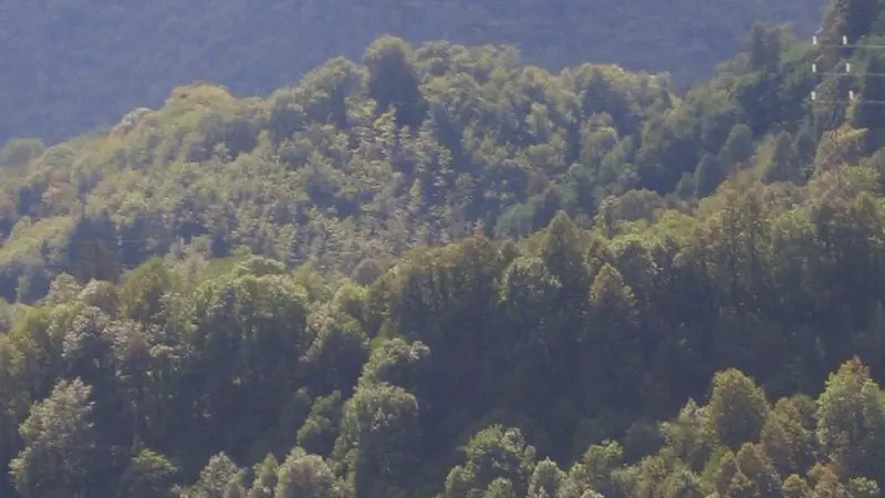 Uno scorcio del borgo di Cornello dei Tasso
