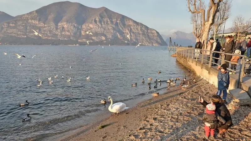 Il livello del lago d’Iseo era già molto basso a gennaio del 2017: la siccità attuale non è un’eccezione - © www.giornaledibrescia.it