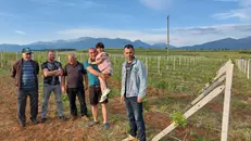 Don Gianfranco Cadenelli in Albania tra le 15mila viti piantate - © www.giornaledibrescia.it