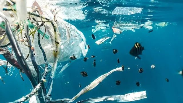 Le plastiche e le microplastiche invadono le acque dei mari - Foto unsplash.com