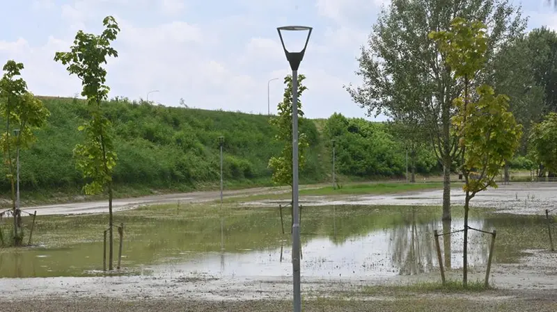 Il parco Vatrenus è un acquitrino, abitato da uccelli acquatici e zanzare - Foto Gabriele Strada /Neg © www.giornaledibrescia.it