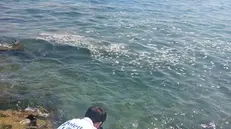 La Goletta dei Laghi è tornata sul lago di Garda