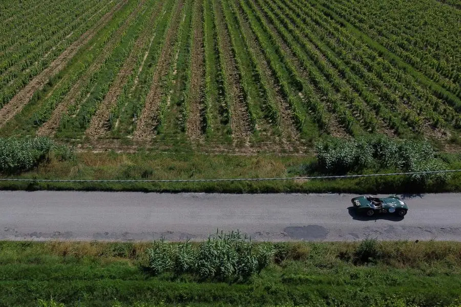 Mille Miglia 2023, il passaggio dalle campagne toscane