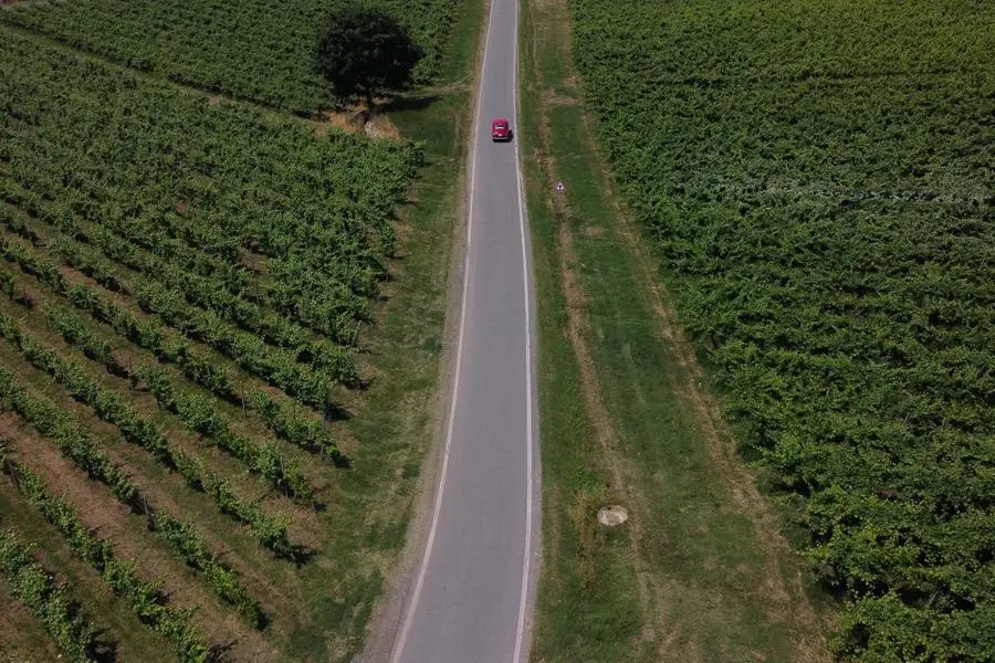 Mille Miglia 2023, il passaggio a San Nazzaro