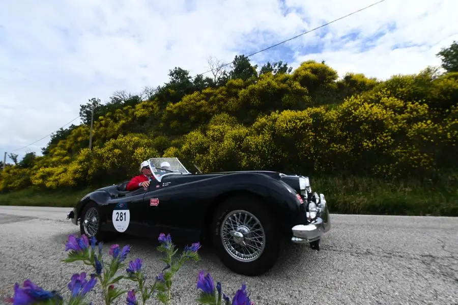 Mille Miglia 2023, l'ingresso nelle Marche-2