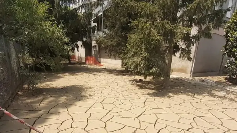 Le zone alluvionate