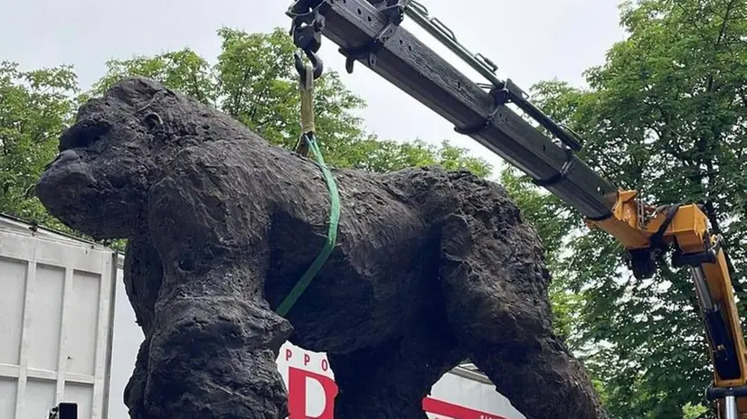 I gorilla in bronzo di Davide Rivalta in Castello
