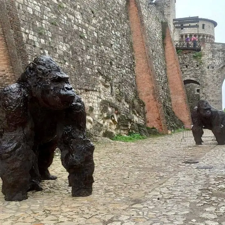 I gorilla in bronzo di Davide Rivalta in Castello