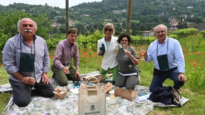 Il pic nic al vigneto Pusterla