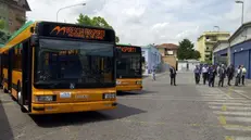Autobus di Brescia Trasporti - Foto © www.giornaledibrescia.it