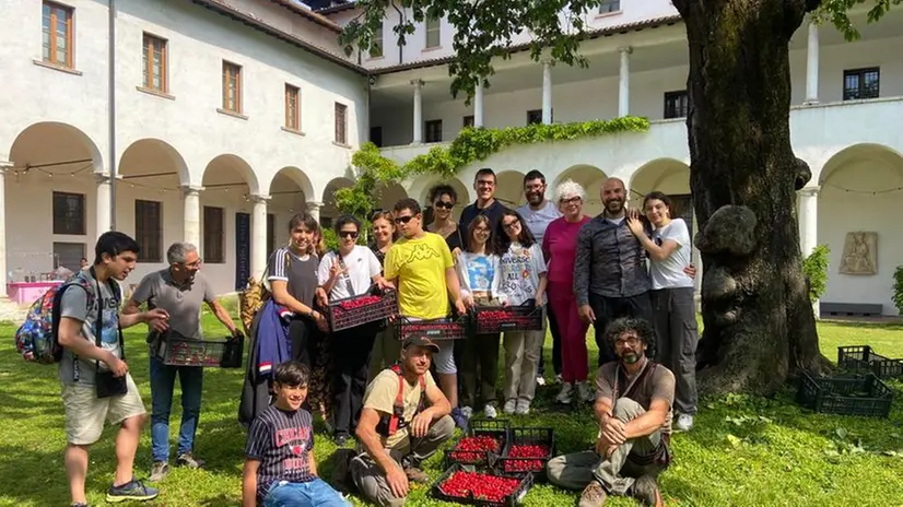 La raccolta delle ciliegie nel Chiostro del Museo Diocesano