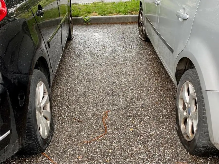 Nella zona del parco delle Pozze di Lonato sono state forate le gomme a diverse auto