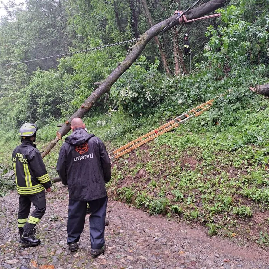 Costalunga, albero crolla sulla linea elettrica: isolato il monastero