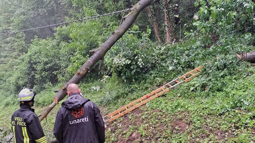 Costalunga, albero crolla sulla linea elettrica: isolato il monastero