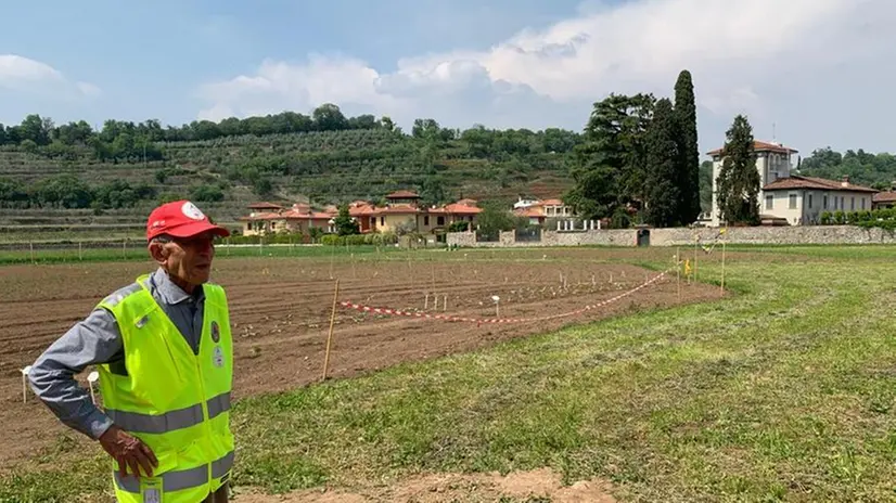 Nei seimila metri ha preso forma l'orto solidale - © www.giornaledibrescia.it