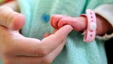 Anche nelle nostra provincia nascono sempre meno neonati © www.giornaledibrescia.it