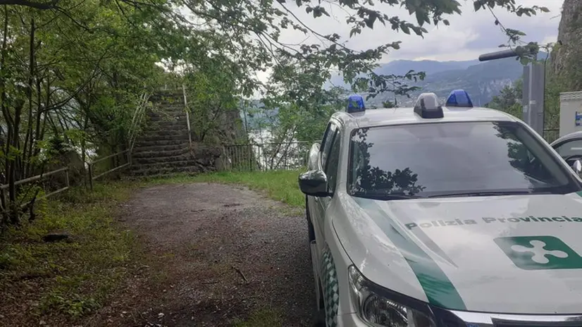 L'intervento della Polizia Provinciale a Marone per rimuovere la carcassa dell'animale - © www.giornaledibrescia.it