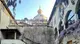 Il magnifico glicine secolare di via della Pace