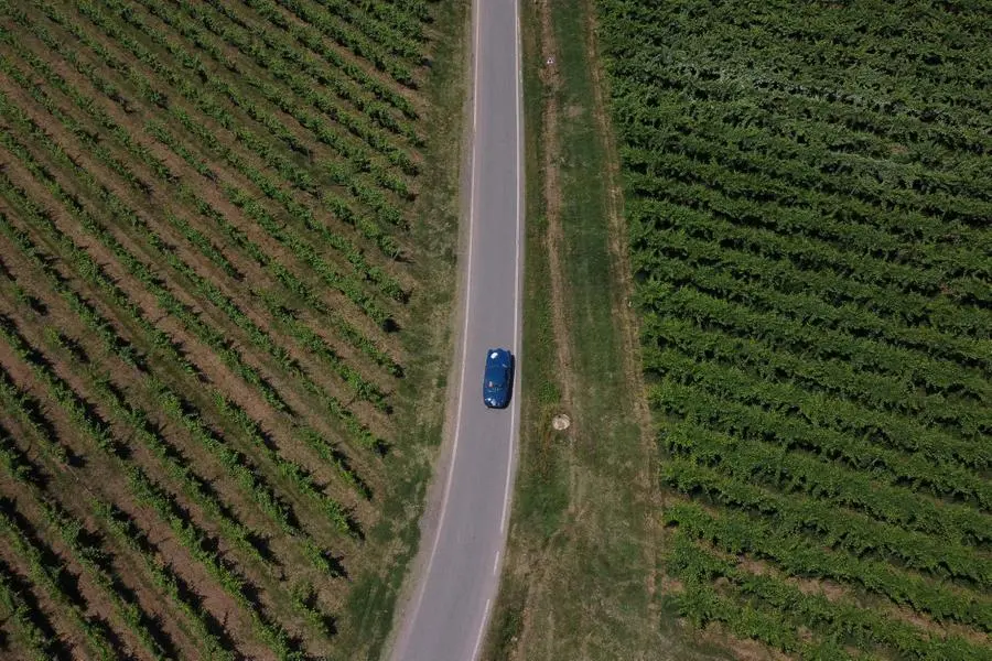 Mille Miglia 2023, il passaggio a San Nazzaro