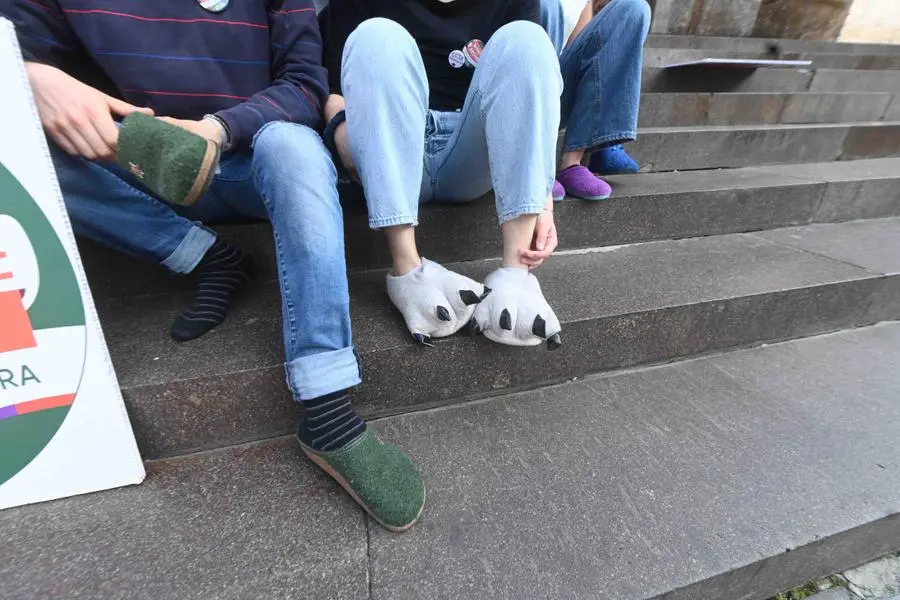 Due manifestazioni contrapposte in piazza Vittoria