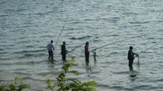 Poche le licenze di pesca ancora attive sul lago d'Iseo © www.giornaledibrescia.it