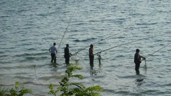 Poche le licenze di pesca ancora attive sul lago d'Iseo © www.giornaledibrescia.it